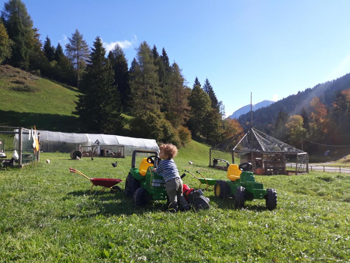 Agritur Broch Villa Fiera Di Primiero Buitenkant foto